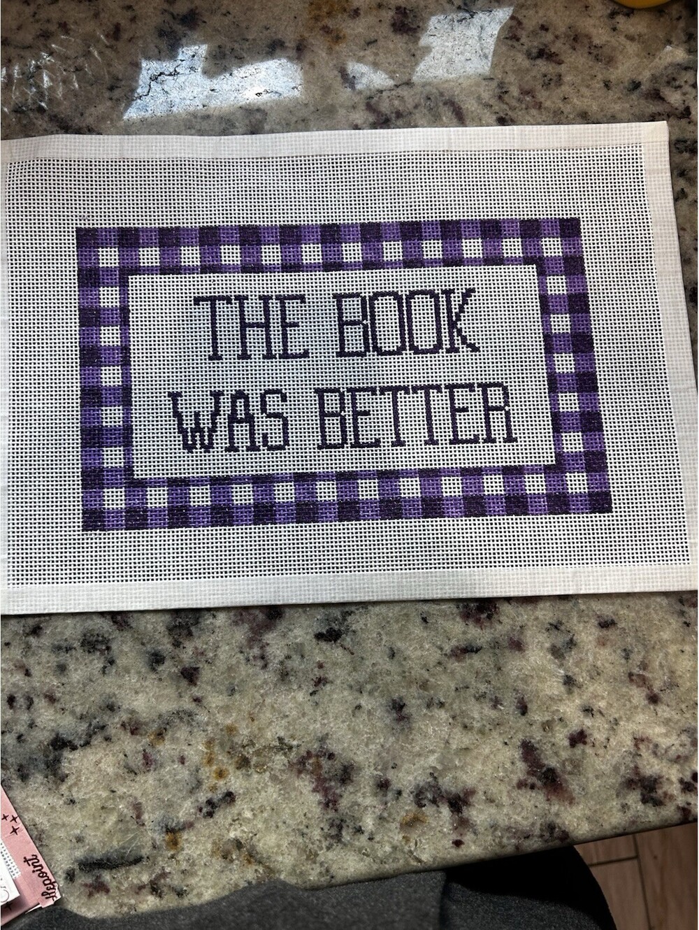 The Book Was Better Hand Painted Needlepoint Canvas - 14 mesh Purple Gingham